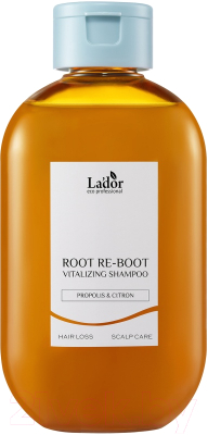 Шампунь для волос La'dor Root Re-Boot Для сухой кожи головы (300мл)