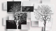 Фотообои листовые Citydecor Дерево инь-янь 3D (468x265) - 