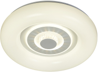 Потолочный светильник ESCADA 10221/SG LED (белый) - 