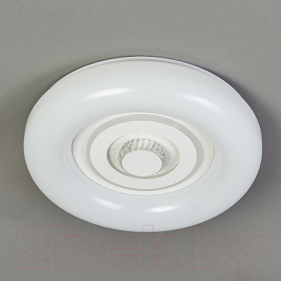 Потолочный светильник ESCADA 10221/SG LED (белый)
