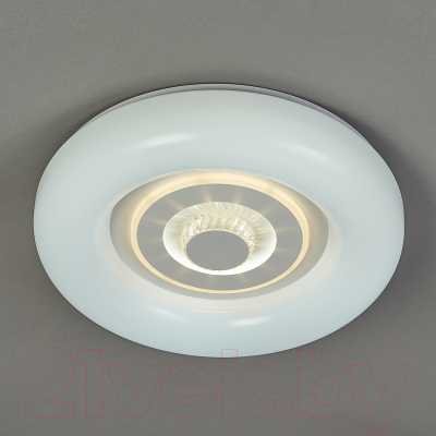 Потолочный светильник ESCADA 10221/SG LED (белый)