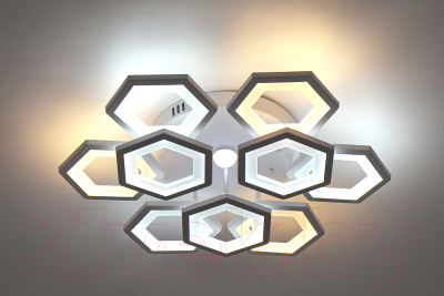 Потолочный светильник ESCADA 10236/9LED (белый)