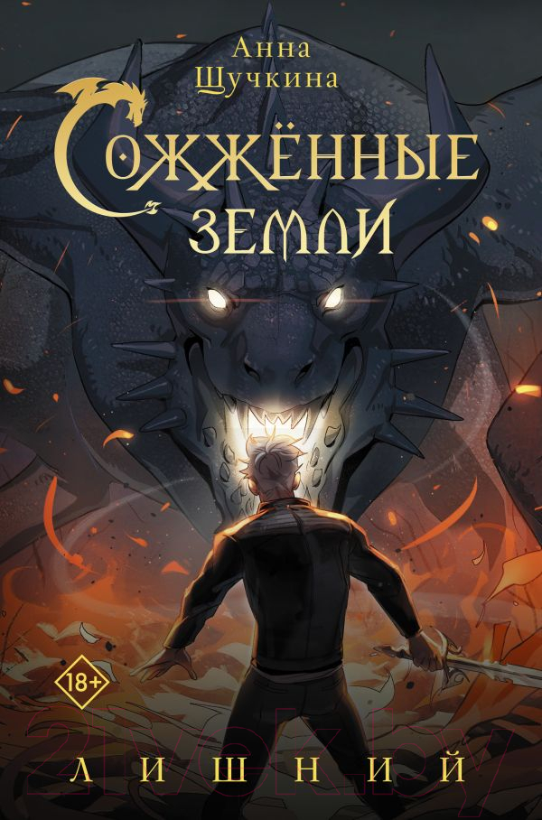 Художественная книга АСТ Сожженные земли. Лишний / 9785171556211 (Щучкина А.)