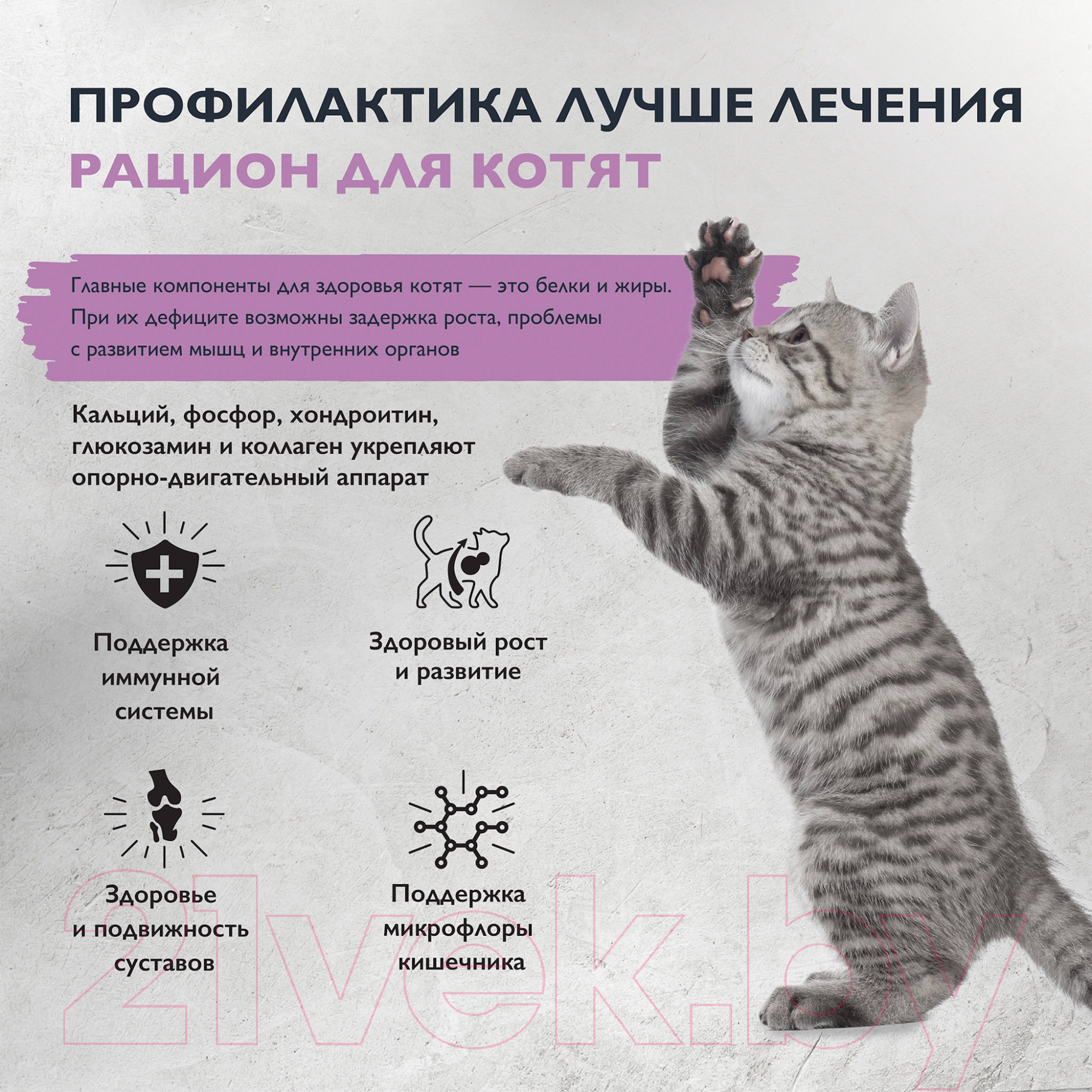 Сухой корм для кошек Brit Care Cat Kitten Healthy Growth с индейкой / 5066056