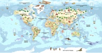 Фотообои листовые Citydecor Детская Карта мира 343 (546x265) - 