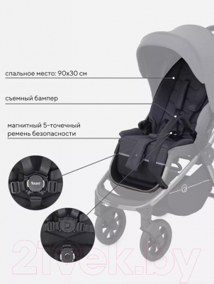 Детская универсальная коляска Rant Flex Pro 2 в 1 2023 / RA074 (Graphite)