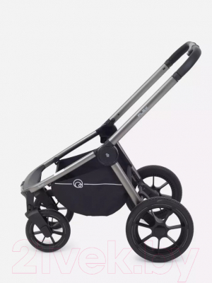 Детская универсальная коляска Rant Flex Pro 2 в 1 2023 / RA074 (Graphite)