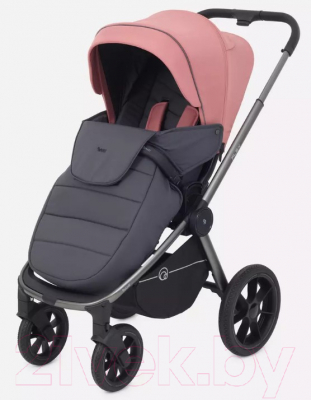 Детская универсальная коляска Rant Flex Pro 2 в 1 2023 / RA074 (Pink)