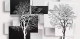 Фотообои листовые Citydecor Дерево инь-янь 3D (546x265) - 