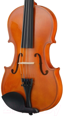 Скрипка Foix FVP-01A-4/4 (с футляром и смычком)