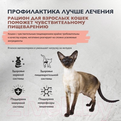 Сухой корм для кошек Brit Care Cat Sensitive Healthy Digestion с индейкой / 5066131 (400г)