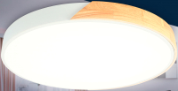 Потолочный светильник Ambrella FZ1301 (белый/светлое дерево) - 