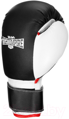 Боксерские перчатки Fight Empire Junior Pre-Comp 9315646 (4oz)