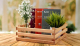 Миниатюра изображения товара Ящик декоративный Polini Kids Home Boxy / 0003157-21 (лакированный)