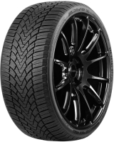 Зимняя шина Arivo Winmaster ProX ARW3 205/50R17 93H - 