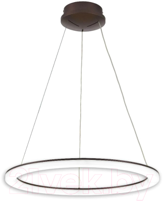 Потолочный светильник Citilux Электрон CL71065RS