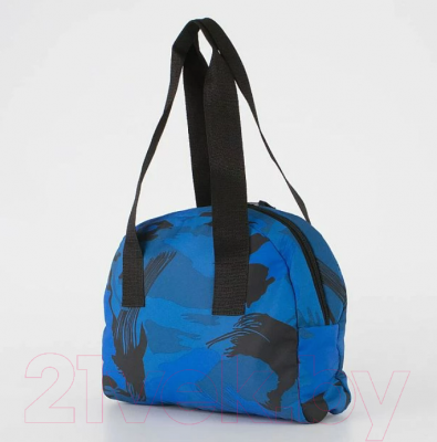 Спортивная сумка Ecotope 012-3040MT/8-NAV (синий)