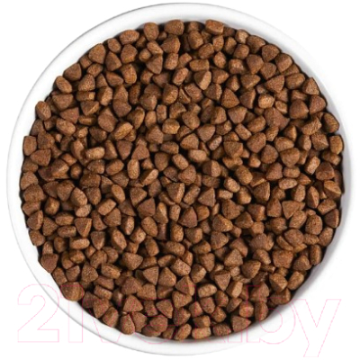 Сухой корм для кошек Ambrosia Grain Free для стерилизов., свежие форель и кролик / U/ACTR5 (5кг)