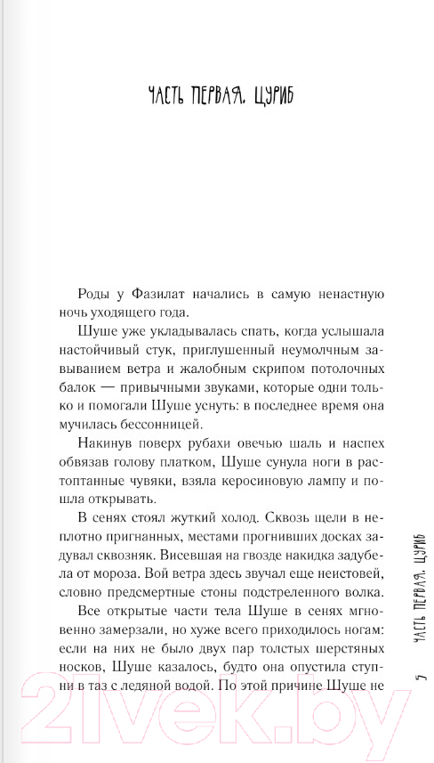 Художественная книга АСТ Айбала. История повитухи (Елецкая Н.В.) — фото 6