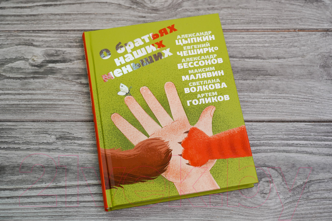 Художественная книга АСТ О братьях наших меньших (Цыпкин А.) — фото 3