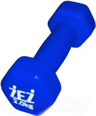 Гантель ZEZ Sport 2kg-N