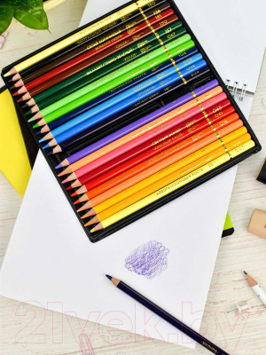 Набор цветных карандашей Феникс+ Классик / 64098 (24цв)