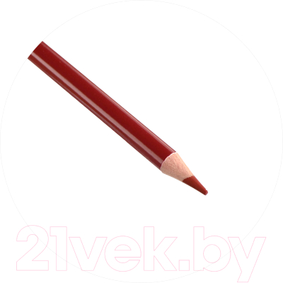 Набор цветных карандашей Феникс+ Классик / 64098 (24цв)