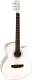 Акустическая гитара Elitaro E4120 WH - 