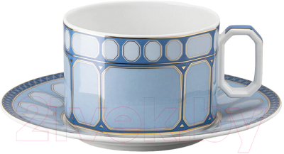 Чашка с блюдцем Rosenthal Signum Azure / 10570-426351-14640