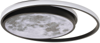 Потолочный светильник Loftit Luna 10217 - 