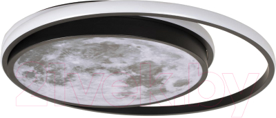 Потолочный светильник Loftit Luna 10217