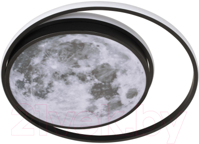 Потолочный светильник Loftit Luna 10217