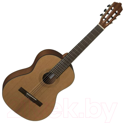 Акустическая гитара La Mancha Rubinito CM/63