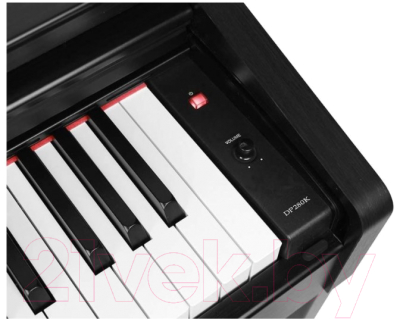 Цифровое фортепиано Medeli DP280K