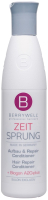 Кондиционер для волос Berrywell Hair Repair Express Conditioner / В18004 (251мл) - 