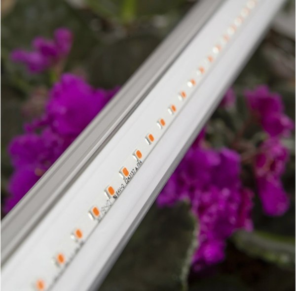 Светильник для растений SmartBuy SBL-Fito-14W