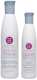 Набор косметики для волос Berrywell Shine Shampoo + Color Protection Express (251мл+61мл) - 
