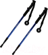 Палки для скандинавской ходьбы Espado ENW-003 (синий) - 