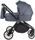Детская универсальная коляска Farfello Baby Shell 2023 3 в 1 / BBS-004 (серый) - 