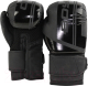 Боксерские перчатки BoyBo B-Series (14oz, черный) - 