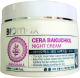 Крем для лица Welcos Kwailnara Biomax Cera Bakuchiol Night Cream (100мл) - 