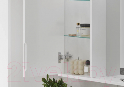 Шкаф с зеркалом для ванной Volna Lake 60 L (белый)