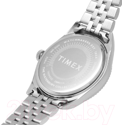 Часы наручные мужские Timex TW2V46100