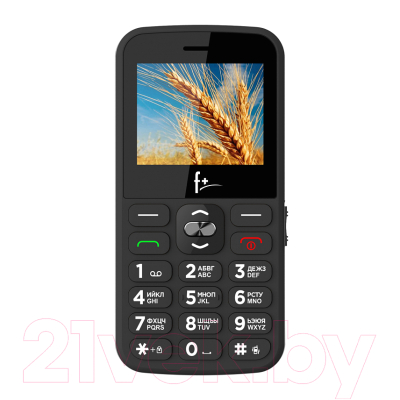 Мобильный телефон F+ Ezzy 5 (черный)