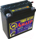 Мотоаккумулятор Tyumen Battery Лидер 6МТС-9 / 00-00001636 (9 А/ч) - 