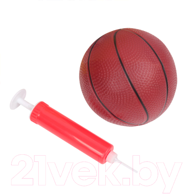 Баскетбол детский Darvish SR-T-3289