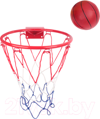 Баскетбол детский Darvish SR-T-3292