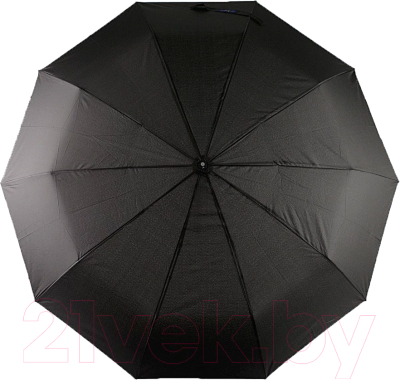 Зонт складной Rain Berry 734-6310N (черный)