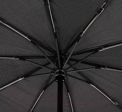 Зонт складной Rain Berry 734-6310N (черный)