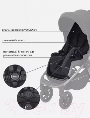 Детская универсальная коляска Rant Flex Pro 2 в 1 2023 / RA074 (черный)